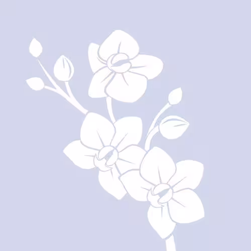 Helen - Escort/Massage in Jersey City, NJ