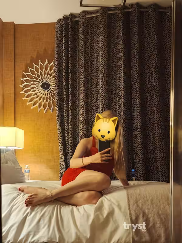 Escort/Massage/S&M Addie / Arina in New York City - Manhattan, NY