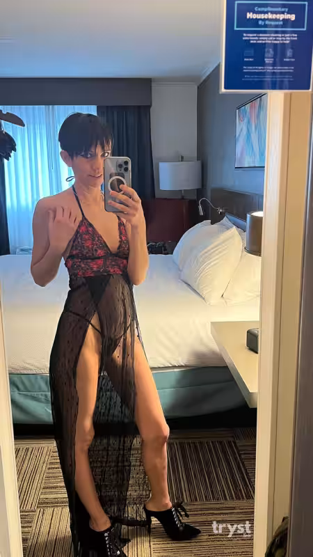 Escort Adele Price in Tysons Corner, VA